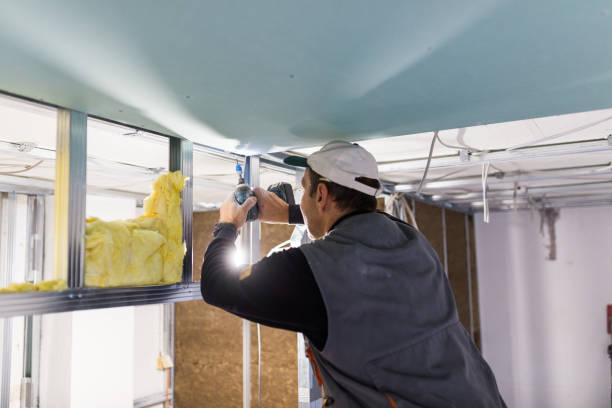 Best Insulation for Specific Applications in Good Hope, AL