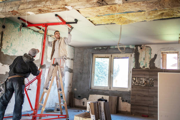 Best Geographic-Specific Insulation Services in Good Hope, AL
